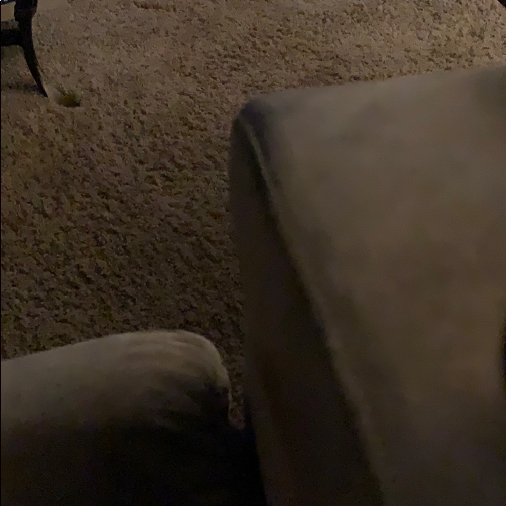 Meet your Posher, Toni